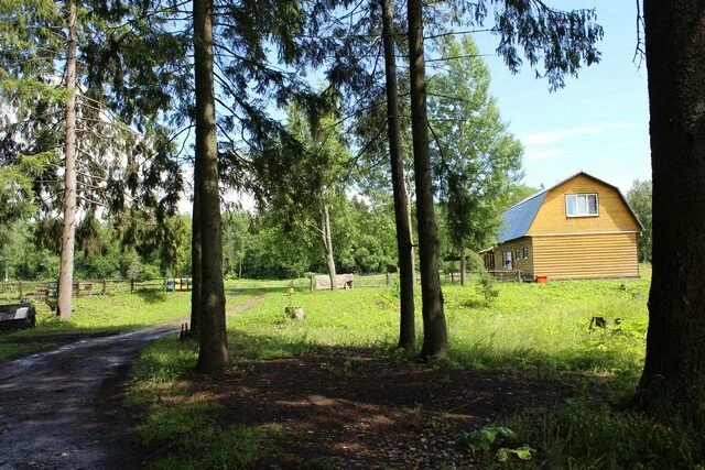 Юбилей охотничьего хозяйства